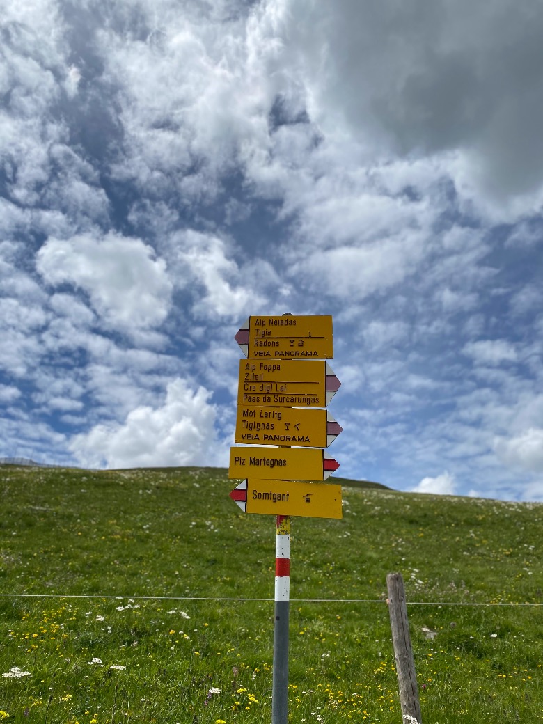 Wegweiser Wegweiser