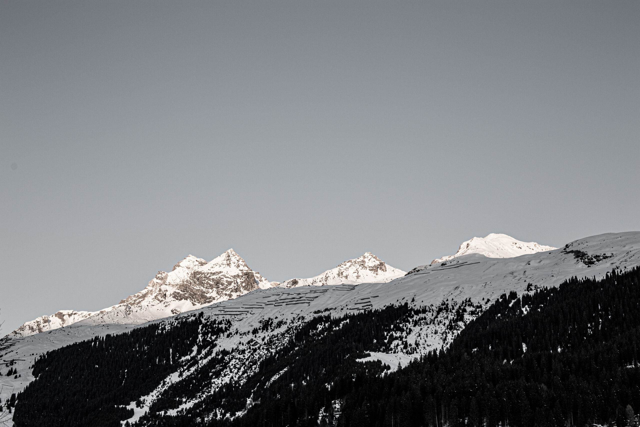 Tadah_Graubuenden_AlpinaIMG_1274 Tadah_Graubuenden_AlpinaIMG_1274